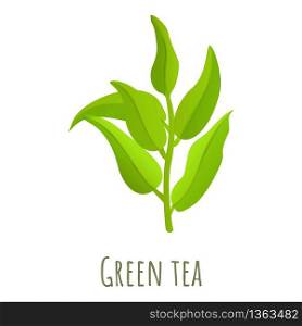 Green tea leaf icon. Cartoon of green tea leaf vector icon for web design isolated on white background. Green tea leaf icon, cartoon style
