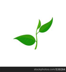 Green tea leaf icon in cartoon style on a white background. Green tea leaf icon, cartoon style