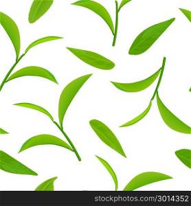 Green tea leaves and twigs, seamless pattern vector, isolated on white background. Green tea leaves and twig, seamless pattern vector, isolated on white background. Side view. Close up. For cooking, food design, cosmetics, medicine, health care, ointments, perfumery tags wrapping