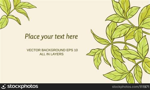 green tea leaves on color background. Illustration with green tea leaves on color background