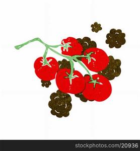 green tomatoes on vine illustration