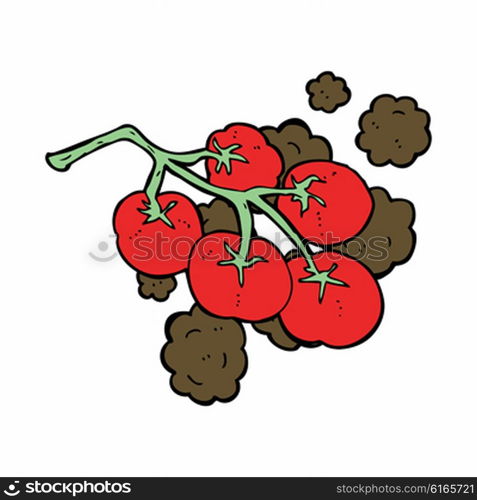 green tomatoes on vine illustration