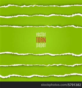 Green torn paper. Vector illustration green torn paper. Template background