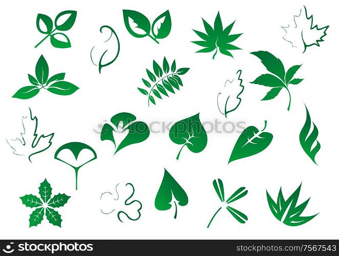 Green tree and plants leaves set isolated on white background for environment, ecology and botany design