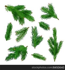 Green tree branches. Xmas traditional plant with needles decent vector botanical winter illustrations of branches. Fir tree and christmas pine. Green tree branches. Xmas traditional plant with needles decent vector botanical winter illustrations of branches