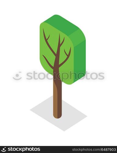 Green Tree Icon. Green tree icon. Isometric green tree with shadow. Brown wood with green crown. City isometric object in flat. Isolated vector illustration on white background.