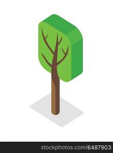 Green Tree Icon. Green tree icon. Isometric green tree with shadow. Brown wood with green crown. City isometric object in flat. Isolated vector illustration on white background.