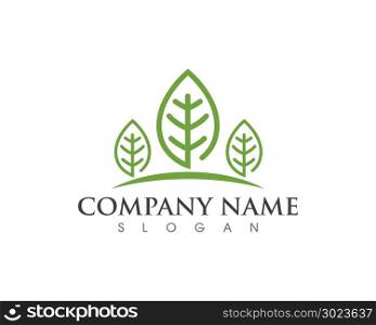 green Tree leaf ecology nature element vector