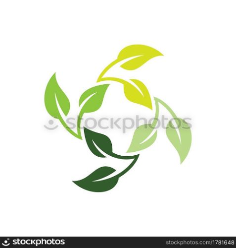 green Tree leaf ecology vector