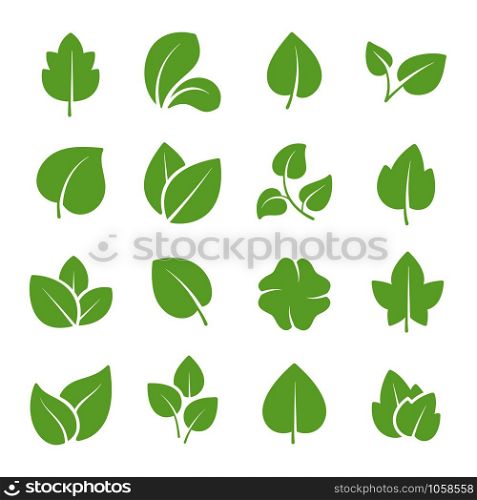 Green tree leaves. Ecology friendly, natural greens young plants pictograms and leaf or forest branch leaves. Nature greenery eco garden plant vector isolated icons set. Green tree leaves. Ecology friendly, natural greens young plants pictograms and leaf vector icons set