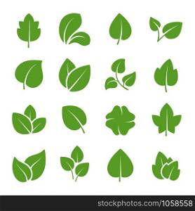 Green tree leaves. Ecology friendly, natural greens young plants pictograms and leaf or forest branch leaves. Nature greenery eco garden plant vector isolated icons set. Green tree leaves. Ecology friendly, natural greens young plants pictograms and leaf vector icons set
