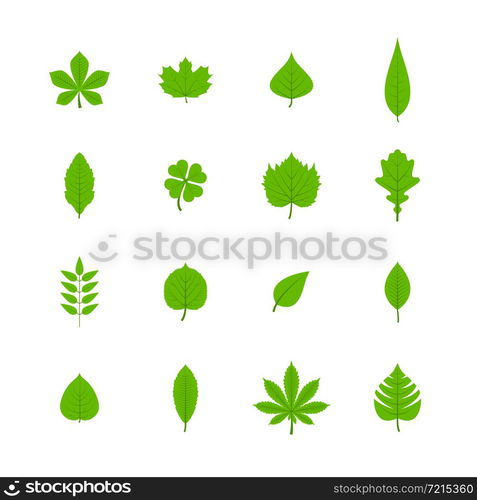 Green trees leaves flat icons set of oak aspen linden maple chestnut clover plants isolated vector illustration