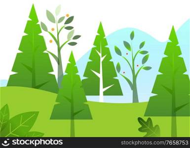 Green trees like firs and oaks, grass in park or lawn. Spring or summer warm weather. Fresh vector leaves bloom on branches. Greenery in countryside on daytime. Beautiful landscape illustration. Green Trees, Greenery in Forest, Spring Season