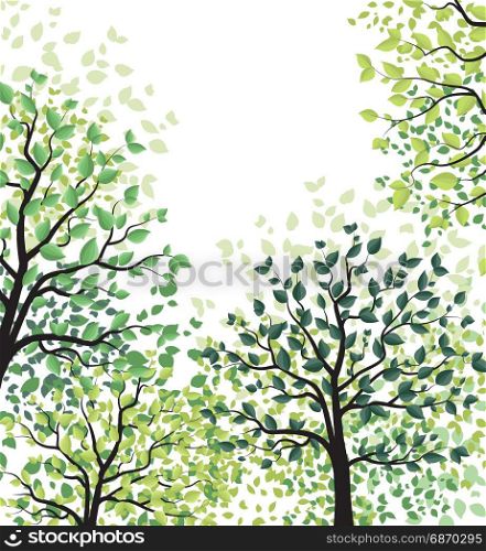 Green trees with leaves. Vector illustration of green trees. Landscape background with forest