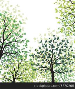 Green trees with leaves. Vector illustration of green trees. Landscape background with forest