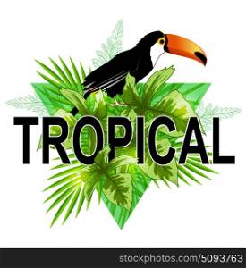 Green triangle with palm leaves and toucan bird on a white background. Abstract tropical summer background.