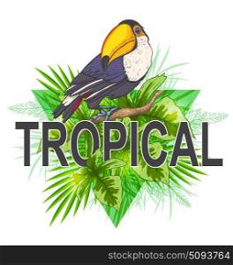 Green triangle with palm leaves and toucan bird on a white background. Tropical summer background.