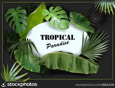 Green Tropical Leaves Background