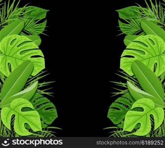 Green tropical leaves on a black background. Vector summer background with tropical plants.