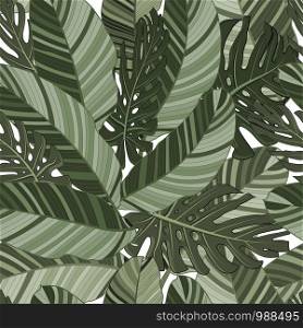 Green tropical leaves seamless pattern. Vector illustration. Exotic banana and monstera leaves background for fabric, art, wallpaper and other.. Green tropical leaves seamless pattern. Vector