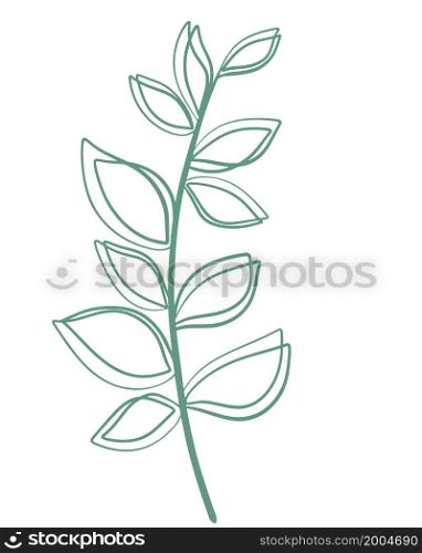 Green twig with leaves drawn doodle illustration. Leafy botanical branch, decoration. Greenery, vector illustration.. Green twig with leaves drawn doodle illustration.