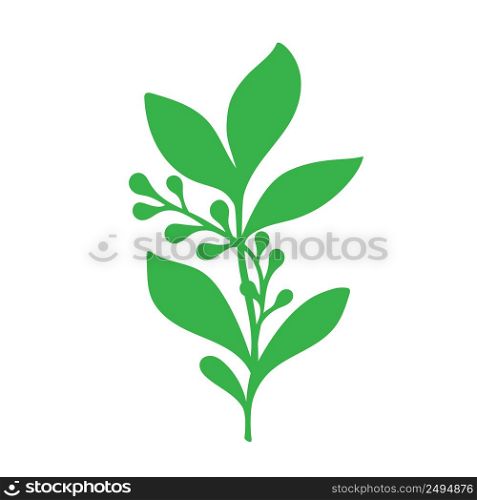 Green Twigs and Branches with Leaves Vector, autumn leaves on branches flat vector illustration isolated on white background