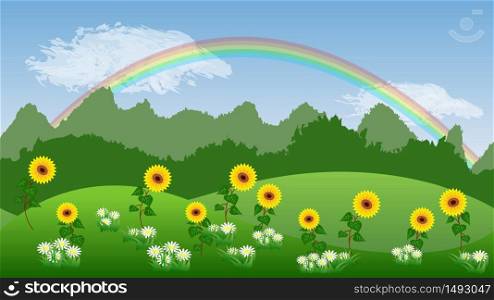 Green valley with sunflowers, chamomiles and rainbow in sky