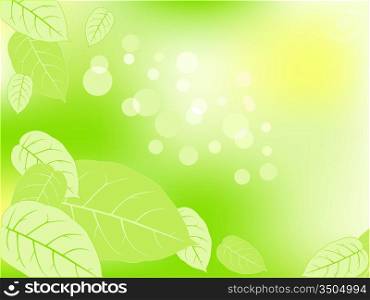 green vector abstraction background with leaves and sunshine