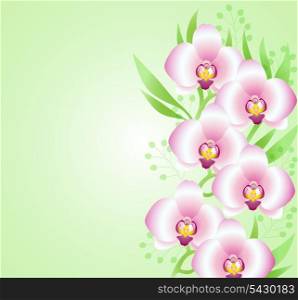 Green vector background with pink orchids