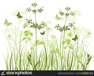 Green vector background with wildflowers and butterflies