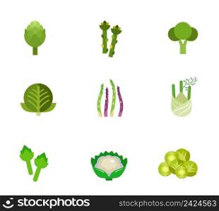 Green vegetable icon set. Artichoke Asparagus Broccoli Cabbage Asparagus stem Fennel Artichoke Cauliflower Brussel sprout
