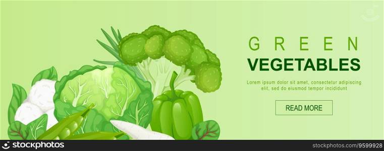 Green vegetables horizontal web banner. Cabbage, peas, broccoli, bell, pepper, spinach, cauliflower, greens, other vegetables. Vector illustration for header website, cover templates in modern design
