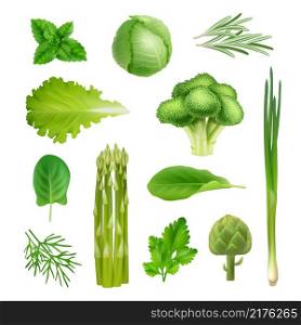 Green vegetables. Mint onion salad leaf parsley cabbage and broccoli decent vector organic fresh products realistic illustrations set. Cabbage organic, fresh asparagus and salad. Green vegetables. Mint onion salad leaf parsley cabbage and broccoli decent vector organic fresh products realistic illustrations set