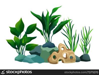 Green vegetation of deep sea. Decorations to put in aquariums. Stones with holes and plants different seaweed set isolated on vector illustration. Green Vegetation of Deep Sea Vector Illustration