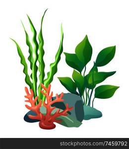 Green vegetation of deep sea. Decorations to put in aquariums. Stones with holes and plants different seaweed set isolated on vector illustration. Green Vegetation of Deep Sea Vector Illustration
