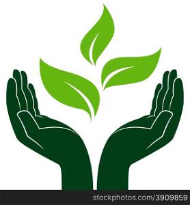 Green young plant in human hands, conceptual ecologic vector illustration