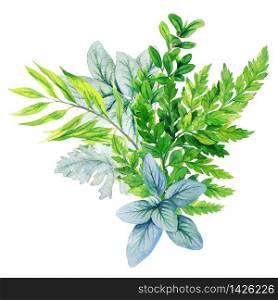 Greenery decorative bouquet, composed of fresh green leaves and ferns. Hand drawn vector watercolor illustration. Design template.