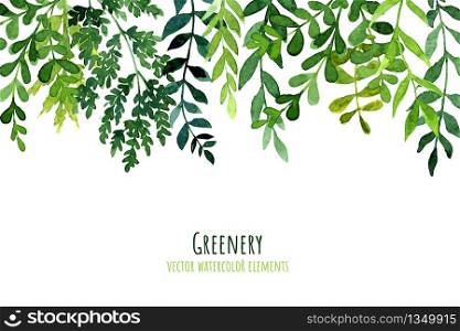 Greenery drop header, watercolor botanical background, leaves and branches, hand drawn vector illustration
