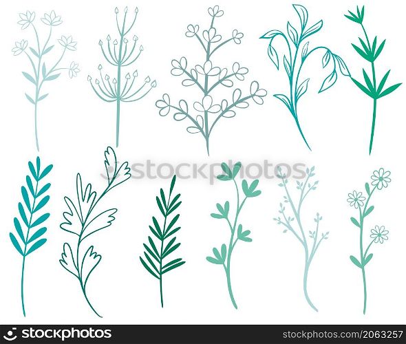 Greenery set isolated vector illustration. Collection of herbs, twigs and deciduous branches. Botanical natural decorations for cards, banners and invitations. Greenery set isolated vector illustration