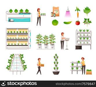 Greenhouse farming set with vertical hydroponics and aeroponics symbols cartoon vector illustration