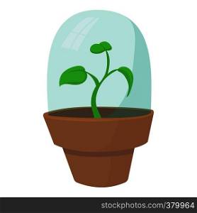 Greenhouse icon. Cartoon illustration of greenhouse vector icon for web design. Greenhouse icon, cartoon style