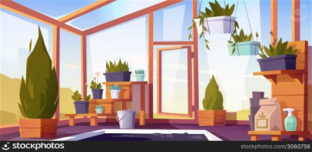 Greenhouse interior with potted plants on shelves. Empty winter garden, orangery with glass walls, windows, roof and stone floor, place for growing flowers, inside view. Cartoon vector illustration. Greenhouse interior with potted plants on shelves