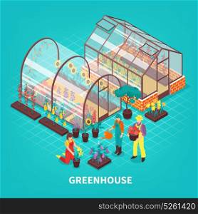 Greenhouse Isometric Composition. Colored greenhouse isometric composition with gardeners workers who are looking after plants vector illustration