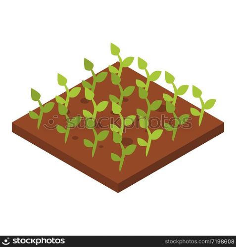 Greenhouse plant icon. Isometric of greenhouse plant vector icon for web design isolated on white background. Greenhouse plant icon, isometric style