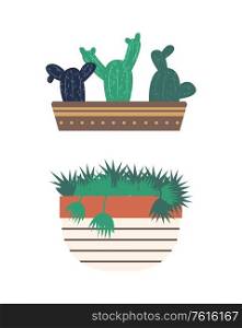 Greenhouse set of isolated plants vector, flowerpot with flora, flat style. Conservatory with greenery for home, flower with foliage, cactus with thorns. Cactus in Pot and Flower, Biodiversity Greenhouse
