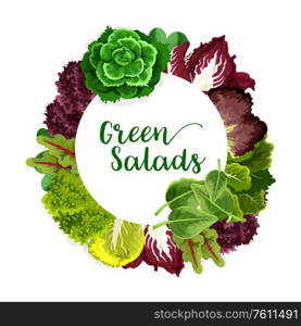 Greens and lettuce salad vegetable, vector farm and garden veggies. Vector Green spinach and bok choy, chinese cabbage and basil, radicchio and corn salad, watercress and batavia, arugula and chard. Farm grown green salads and organic lettuces