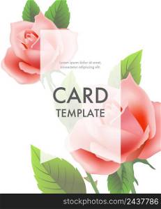 Greeting card template with pink roses and transparent frame on white background. Wedding, Mothers Day, dating. Event concept. Can be used for invitation, greeting card, brochure