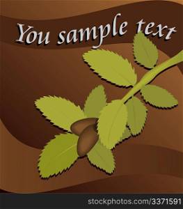 Greeting card with a branch, leaves and a nuts. Vector