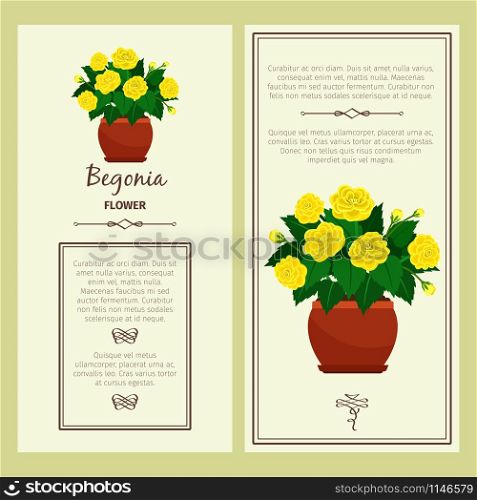 Greeting card with begonia decorative plant, square frame. Vector illustration. Greeting card with begonia plant