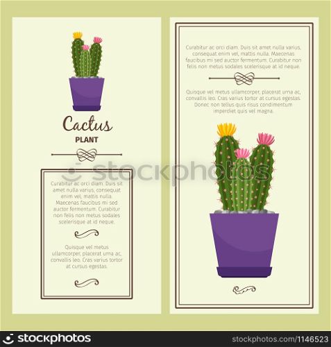 Greeting card with cactus decorative plant, square frame. Vector illustration. Greeting card with cactus plant